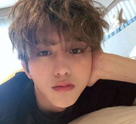 网红爆料蔡徐坤视频下载,网红爆料带你一探究竟